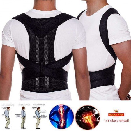 Back Support Belt